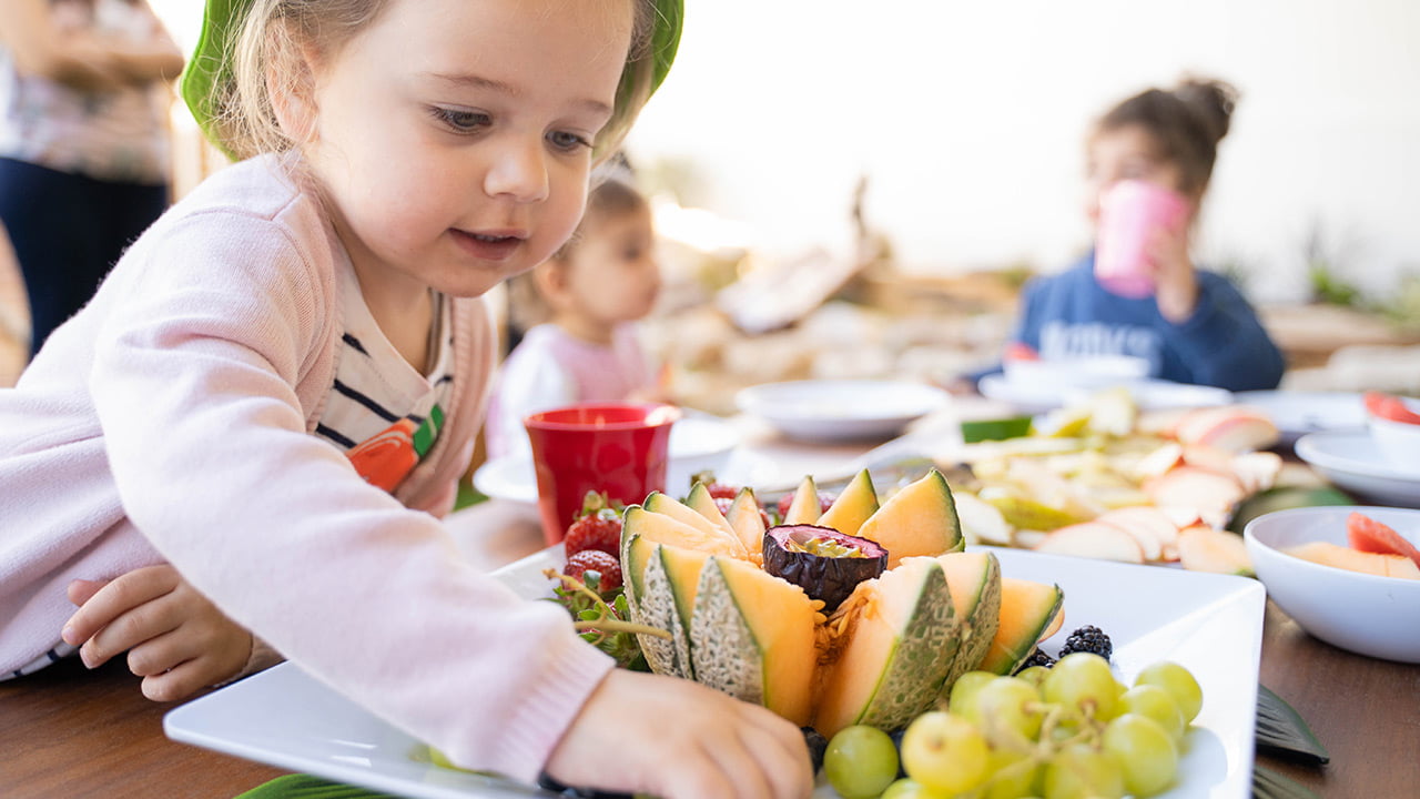 Exploring the World of Early Learning: The Significance of a Preschool in Ermington